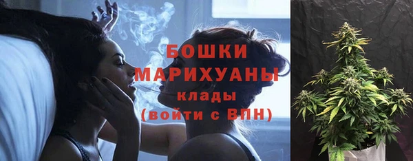 спиды Бронницы
