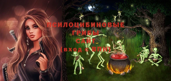 спиды Бронницы