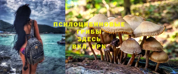 спиды Бронницы