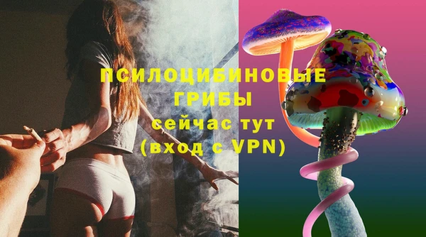 COCAINE Бородино