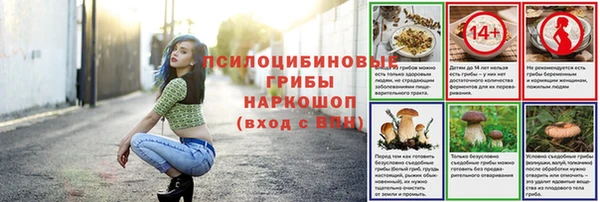спиды Бронницы