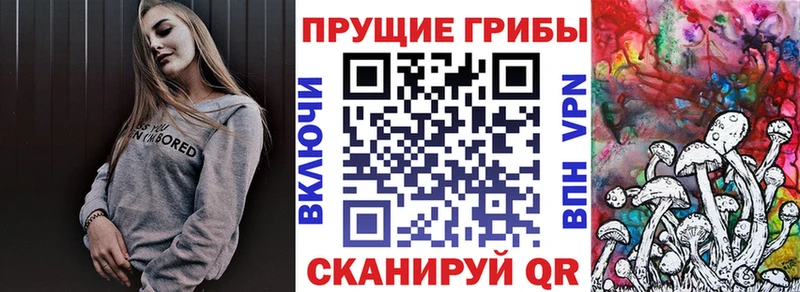 купить наркотик  Сургут  Псилоцибиновые грибы GOLDEN TEACHER 